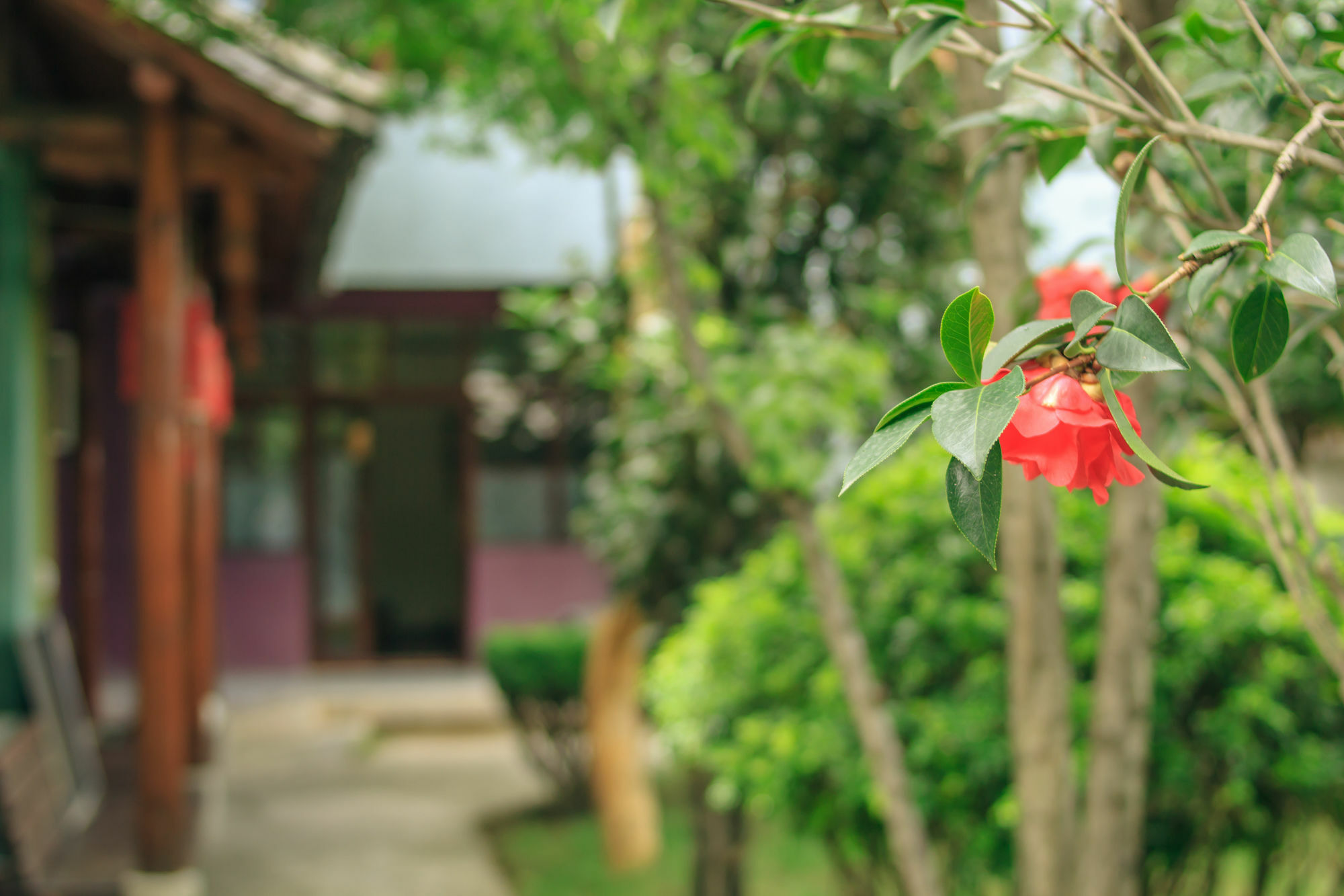 Ooh Countryard Inn Дали Экстерьер фото